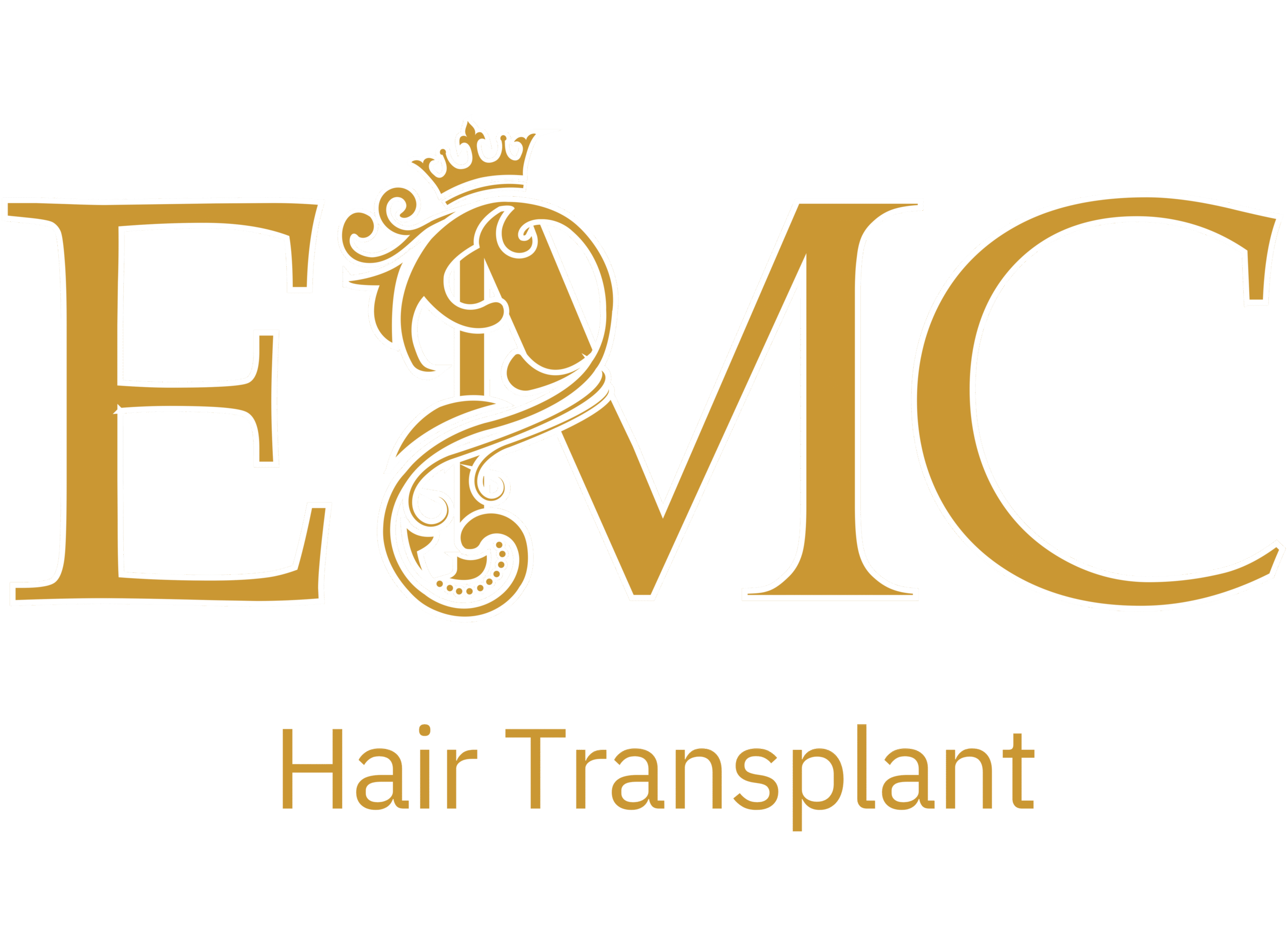 EMC Logo